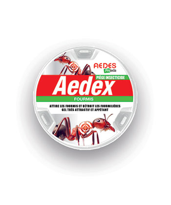 Traitement pour éradiquer la fourmi Aedes Protecta Aedex fourmis à l'achat