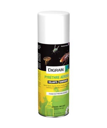 Anti cafards aérosol insecticide Digrain Rampants