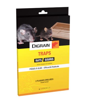 Plaque à glu pour souris, cafards et autres insectes rampants, Le