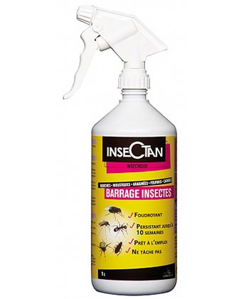 Spray 500 ml - Digrain - Pal Choc - Moustiques, Mouches, Blattes, Fourmis,  Puces, Punaises de lit