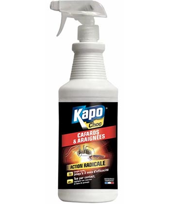 Kapo Choc Cafards et Araignées - Spray de 1L