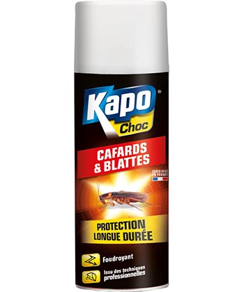 INSECTICIDE ANTI INFESTATION KAPO MOUCHE ARAIGNEE GUEPE CAFARDS BLATTES  MOUSTIQU