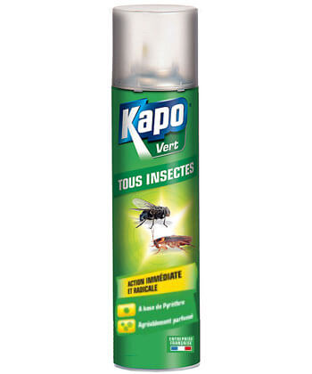 Fumigène tout insecte 50 g KAPO Vert, 1455948