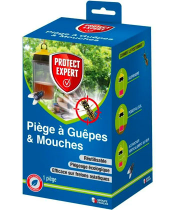 13 plantes pour lutter anti-mouches