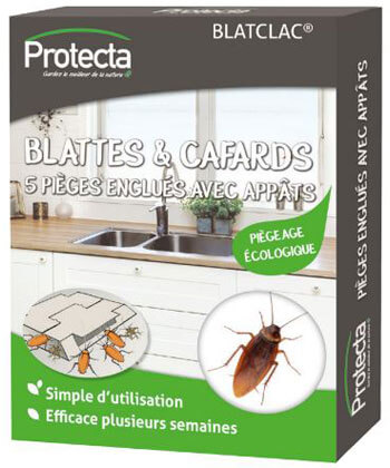 Protecta Blattes et Cafards - 5 pièges englués avec appâts