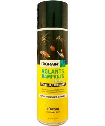 Digrain Laque Choc Volants / Rampants (Cafards, Mites, Punaises, Etc)